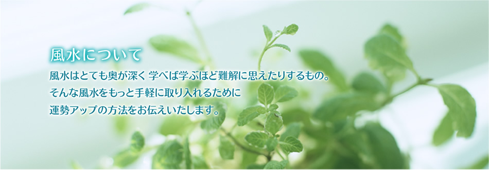 fuusui_top
